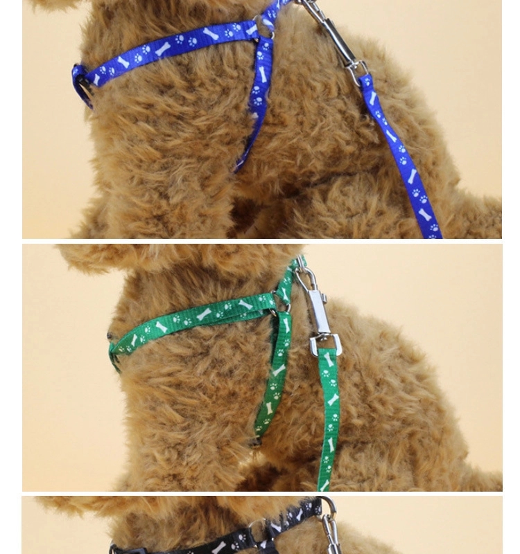 Small dog's leash 3