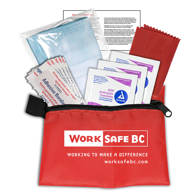"ORERON" 11 Pcs Antiseptic and Protective First Aid Kit in Zipper Pouch 23