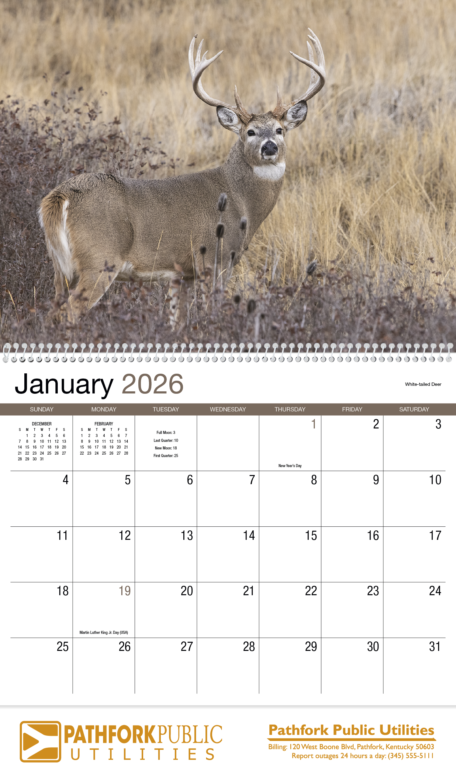 HotLine® Products Norman Rockwell Appointment Calendar - Spiral 45