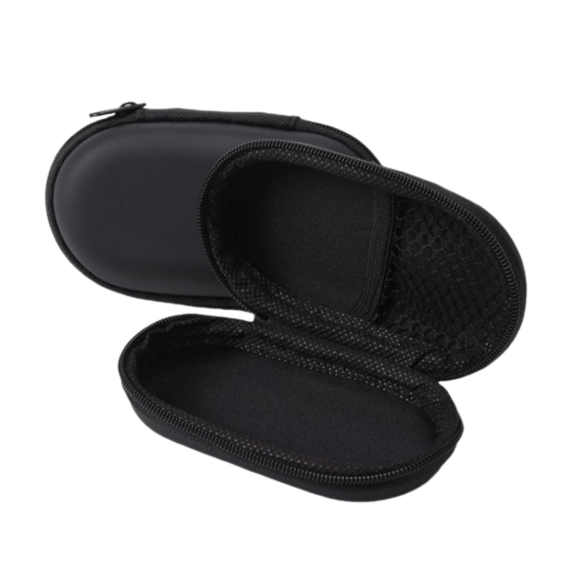Earphone Carrying Case 2