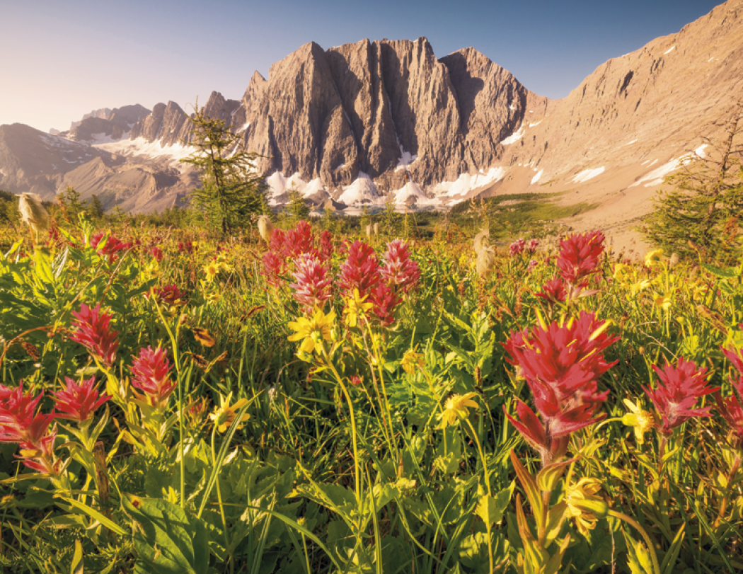 Good Value™ Canadian National Parks - Spiral Calendar 40