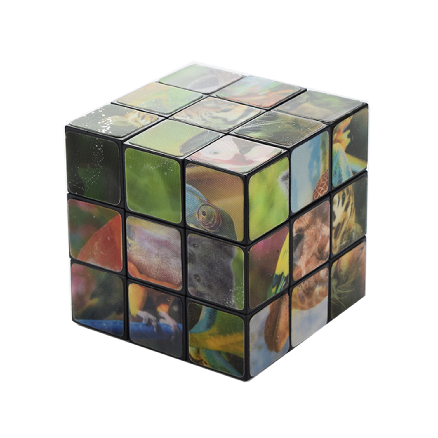 Custom Rubik's Cube Toy 2