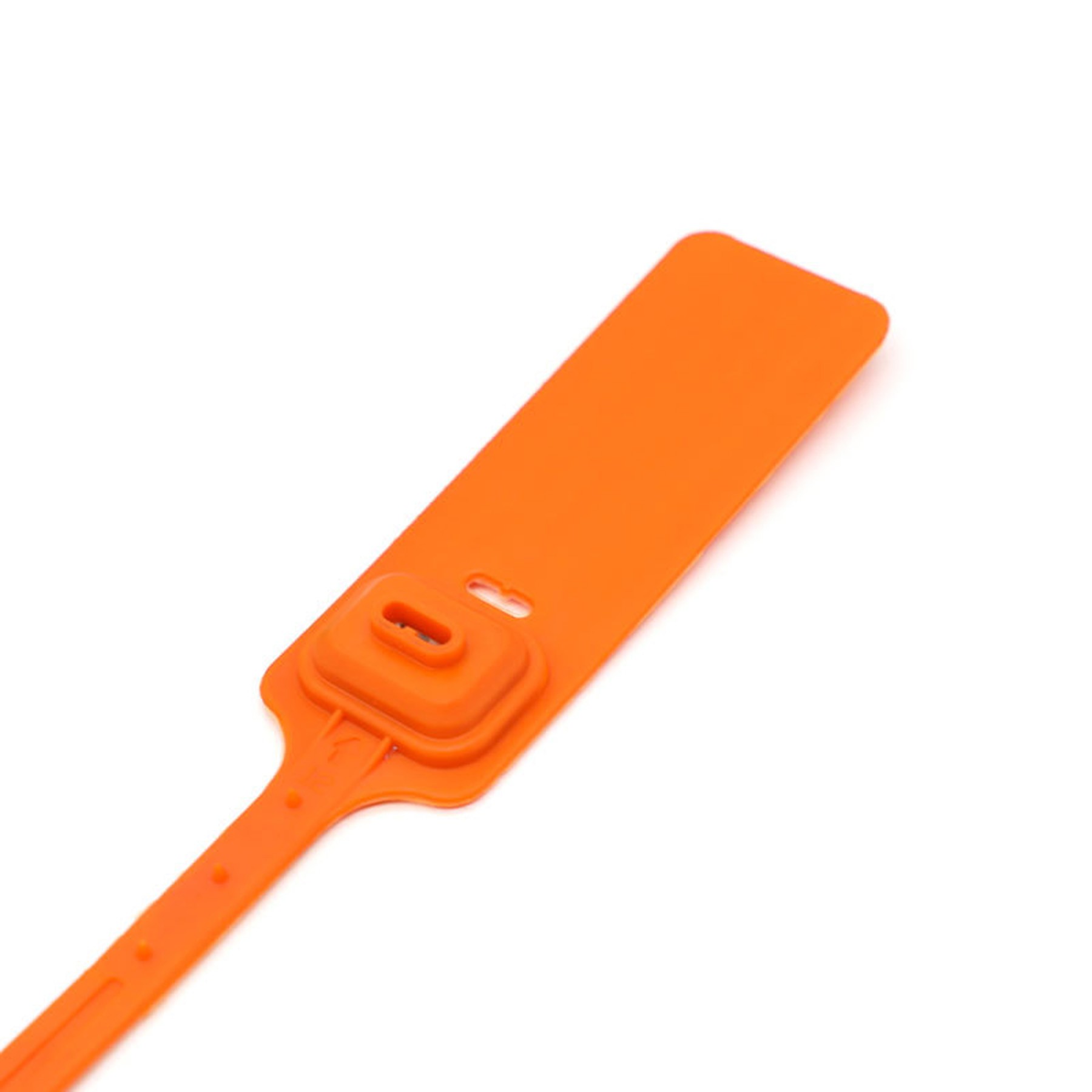 Disposable Tag Plastic Seal 5