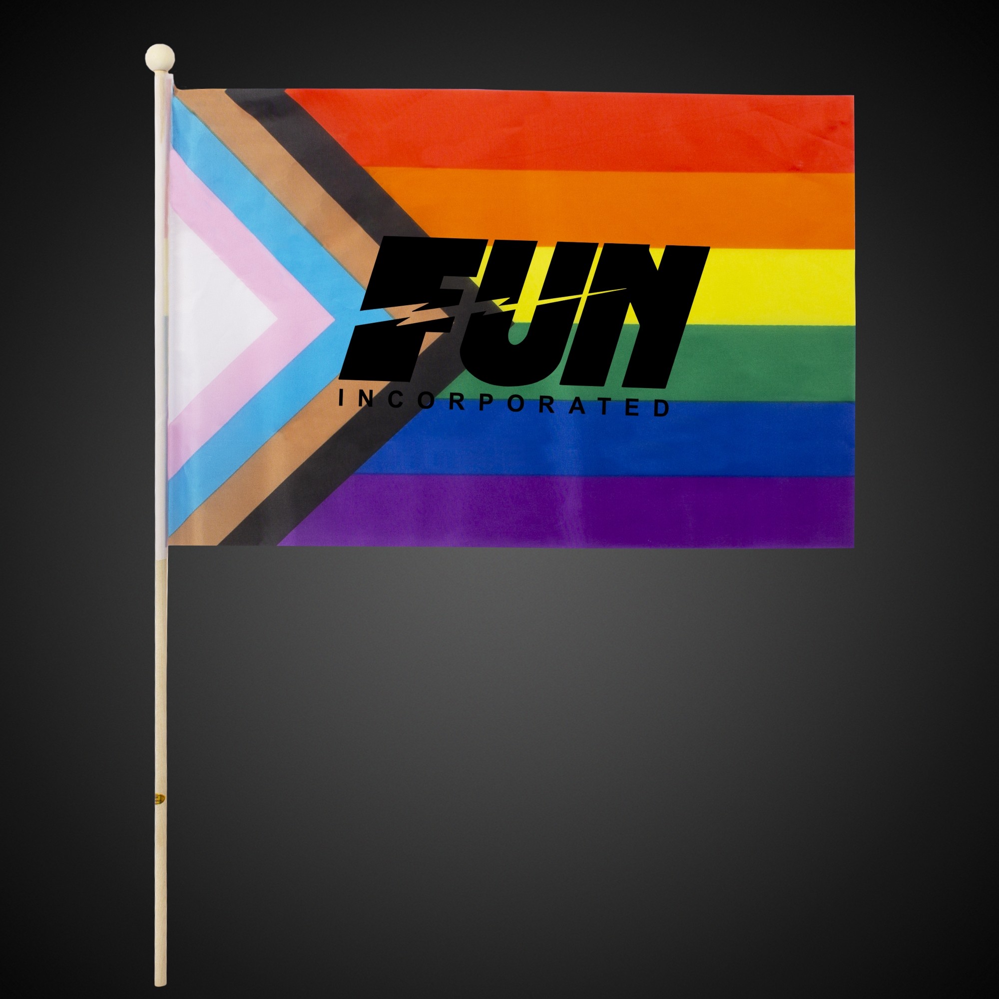 Progress Pride Rainbow Flag 12"x18" 3