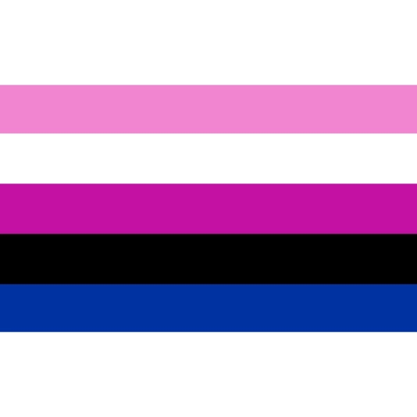 Gender Fluid Flag 2