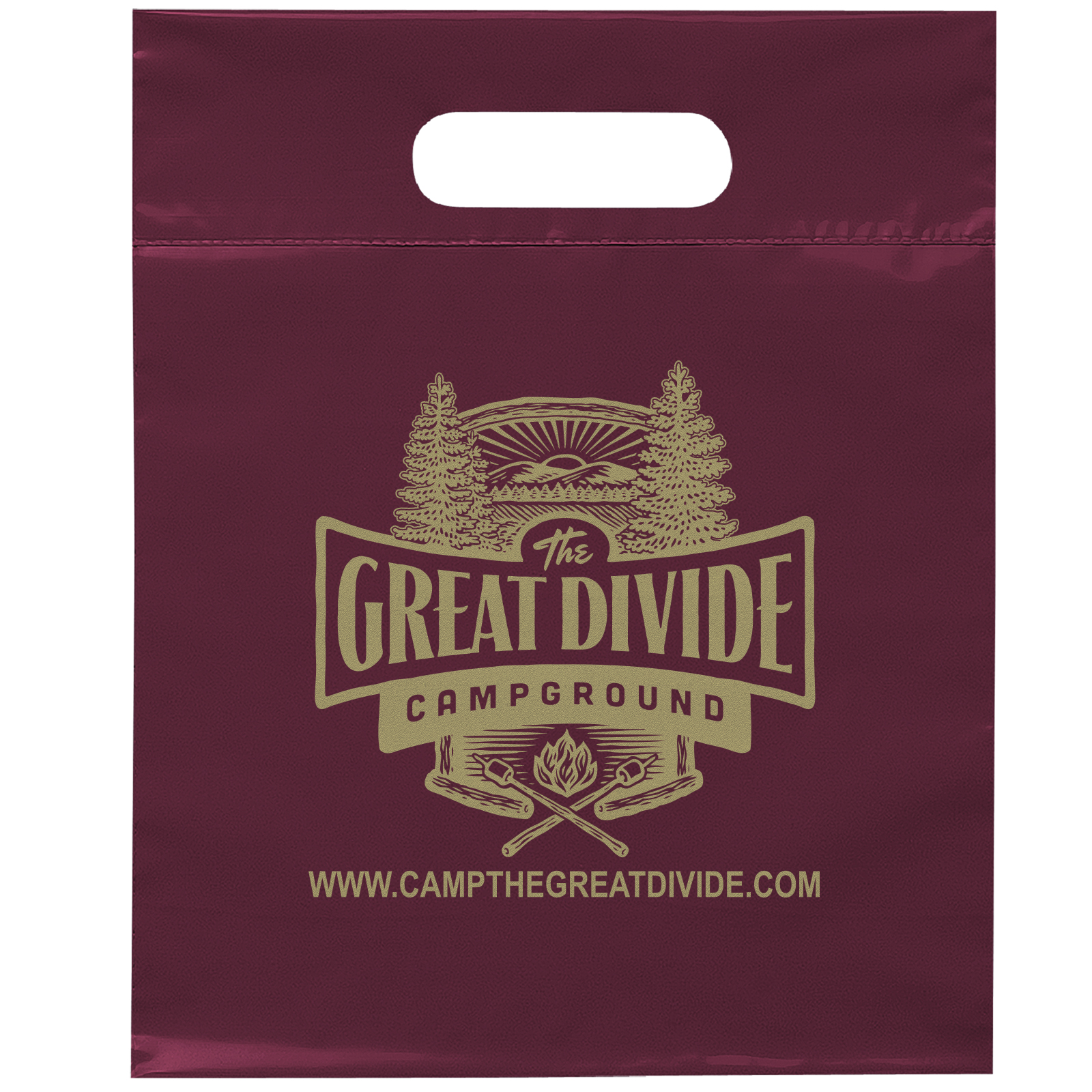 Die Cut Handle Bag - 9 1/2W x 12H - Flexo Ink Print 12