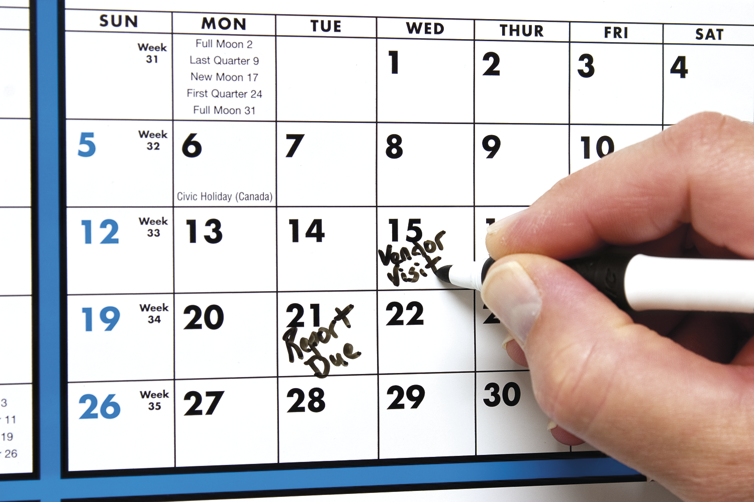 Triumph® Calendars Span-A-Year (Laminated with Marker) Calendar 10