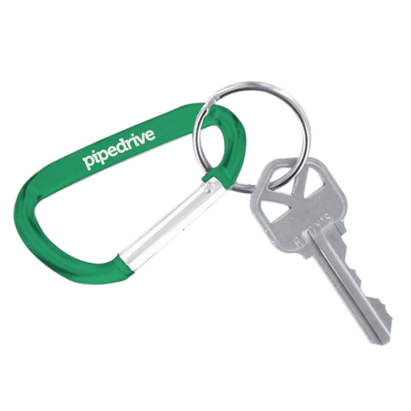 Carabiner Keychain 10