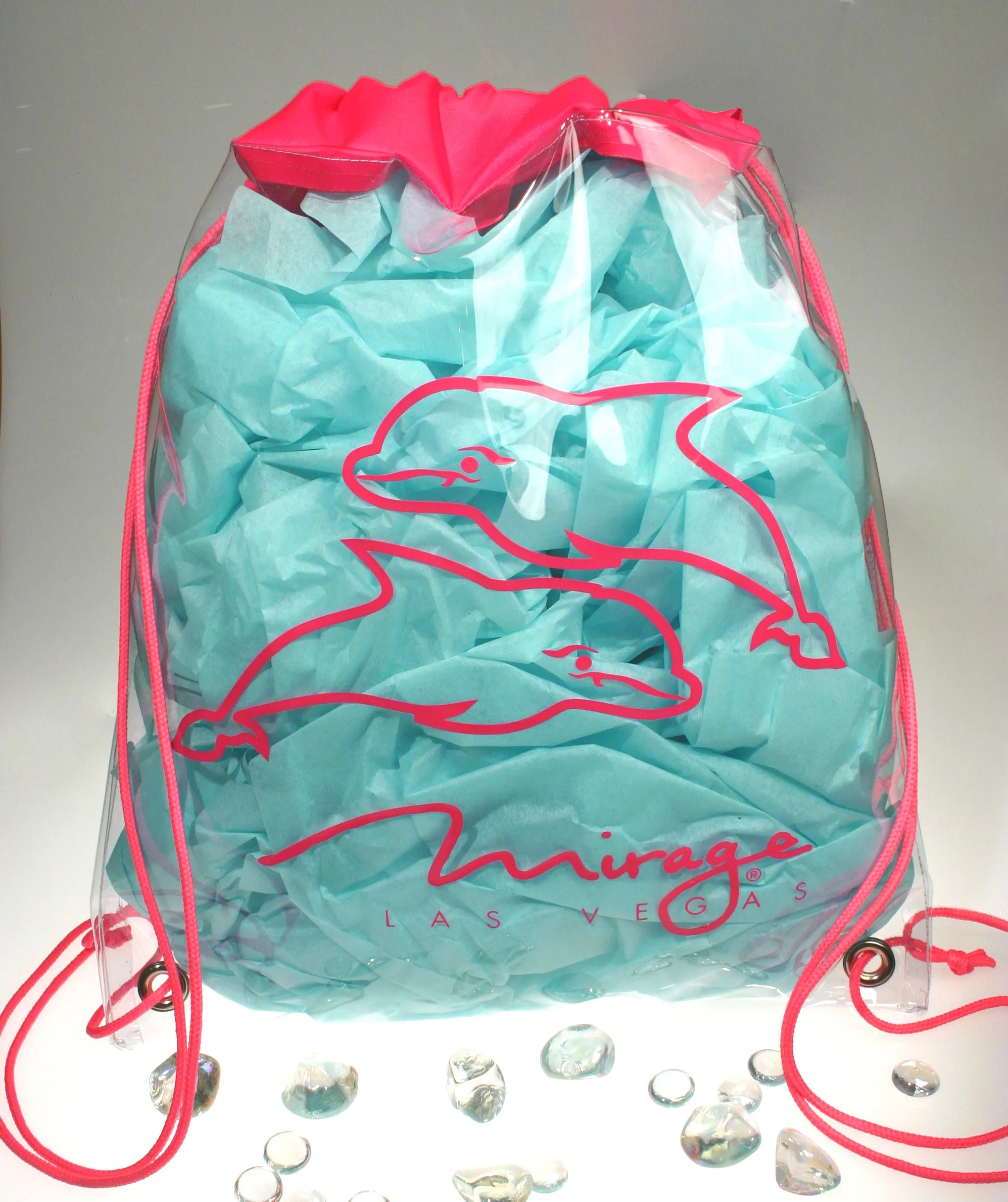 Clear Vinyl Backpack 2