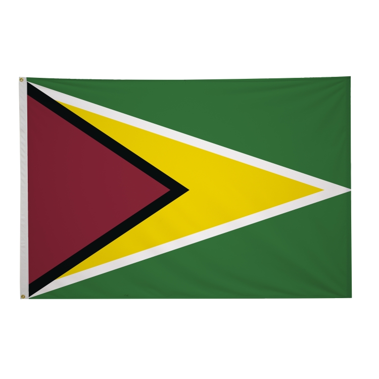 4' x 6' International Flags 12