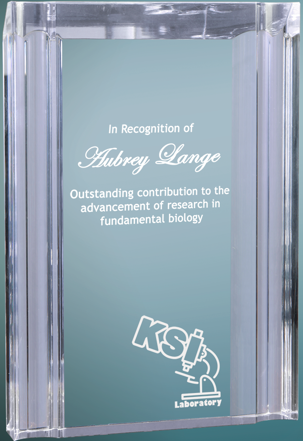 4.75" x 6-1/8" Clear Channel Acrylic Award