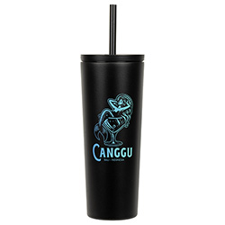 Bradford 24 oz Vacuum Insulated Stainless Steel Tumbler with Straw 51