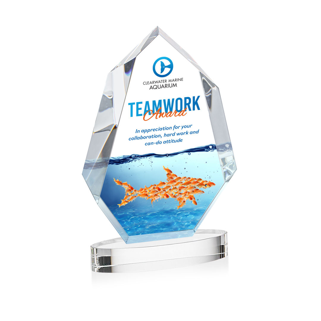 Norwood VividPrint™ Award on Alberton Base - Clear