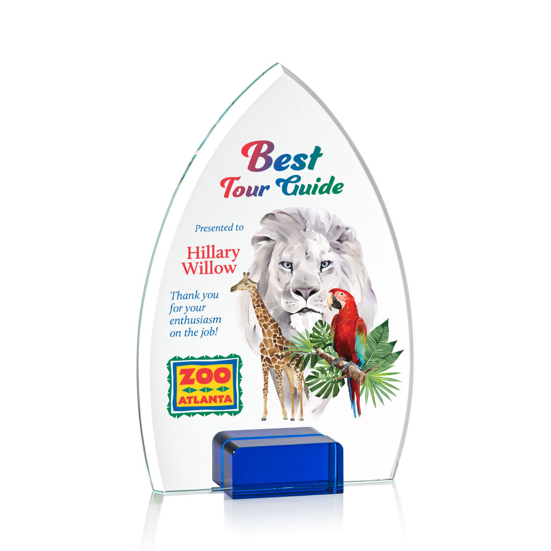 Aylin VividPrint™ Award - Blue 7
