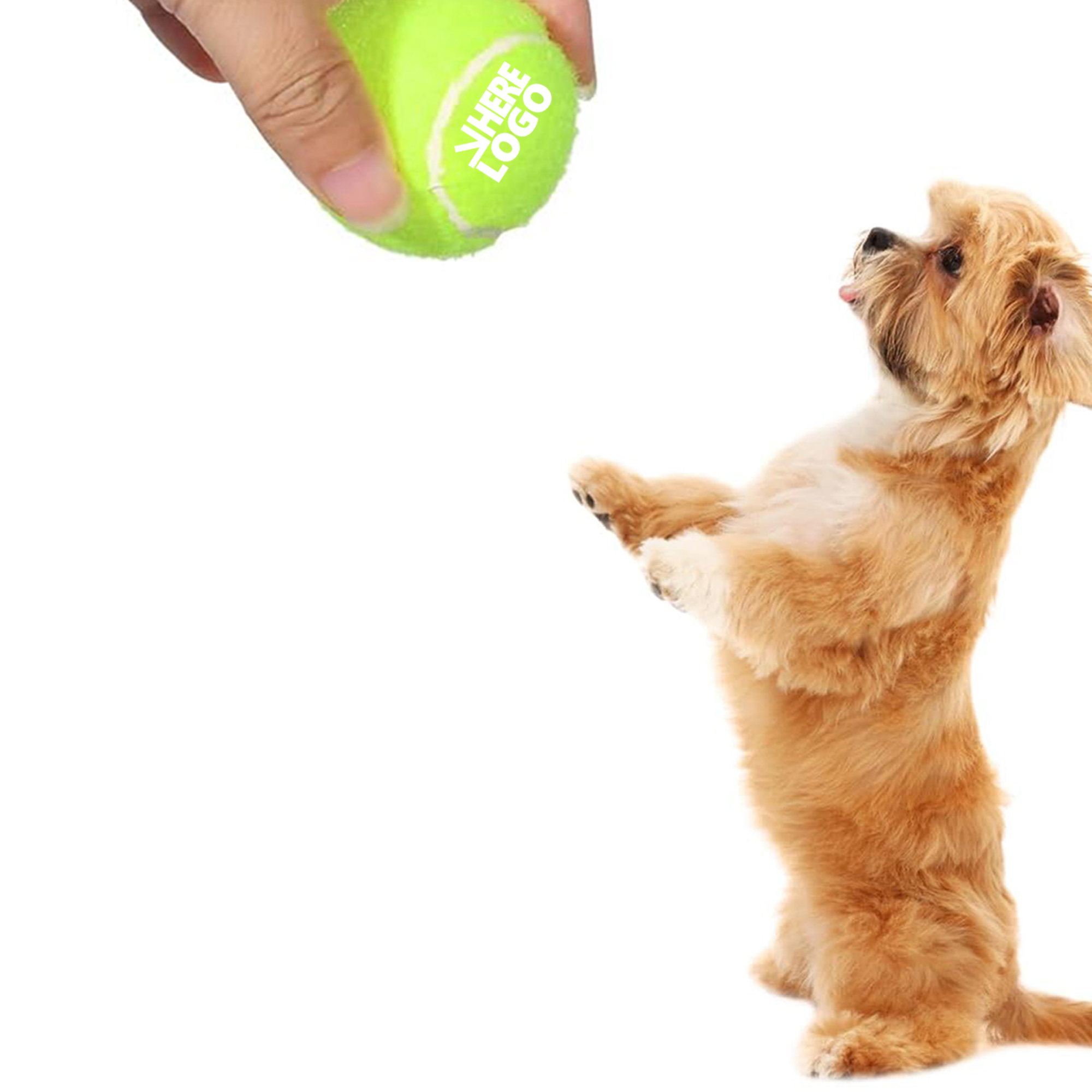 Promotional Tennis Ball 2