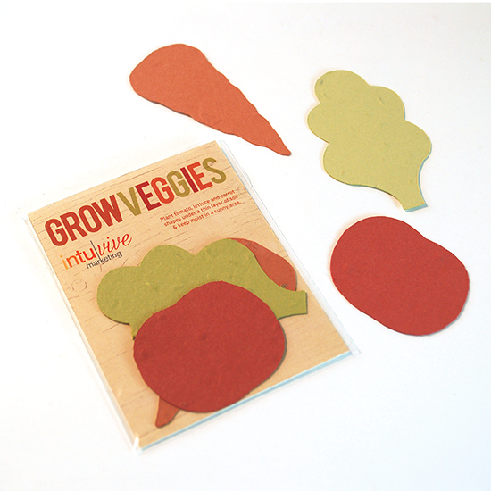 Single-Sided Veggie Shape Packs 9
