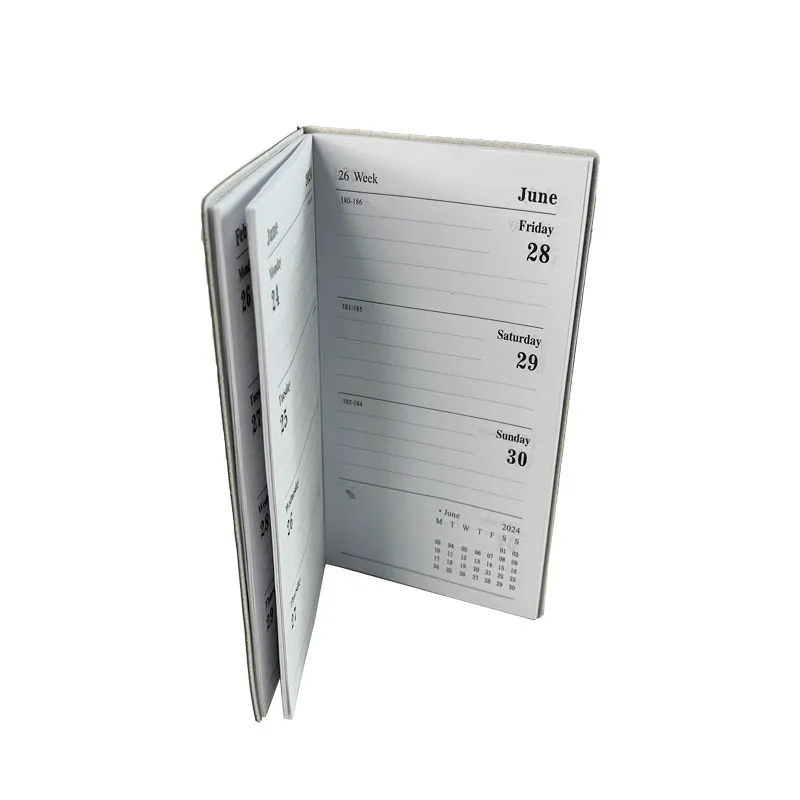 2025 Schedule Precision Planning Notebook 3