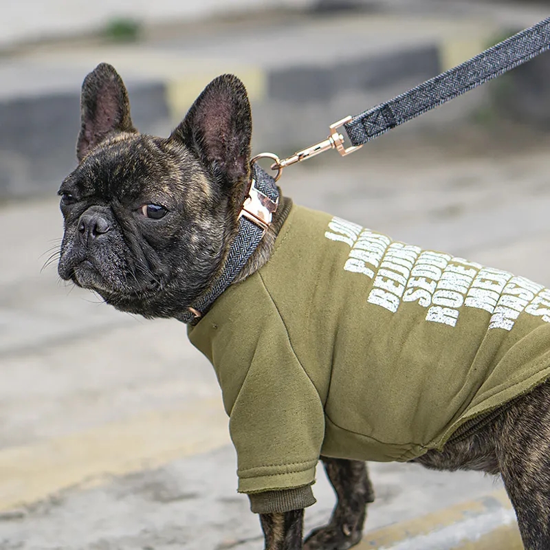 Cute Dog Collar 5