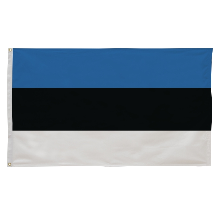 3' x 5' International Flags 265