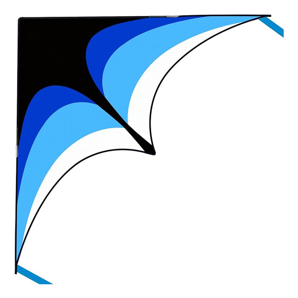 Floating Tail Rainbow kite 3