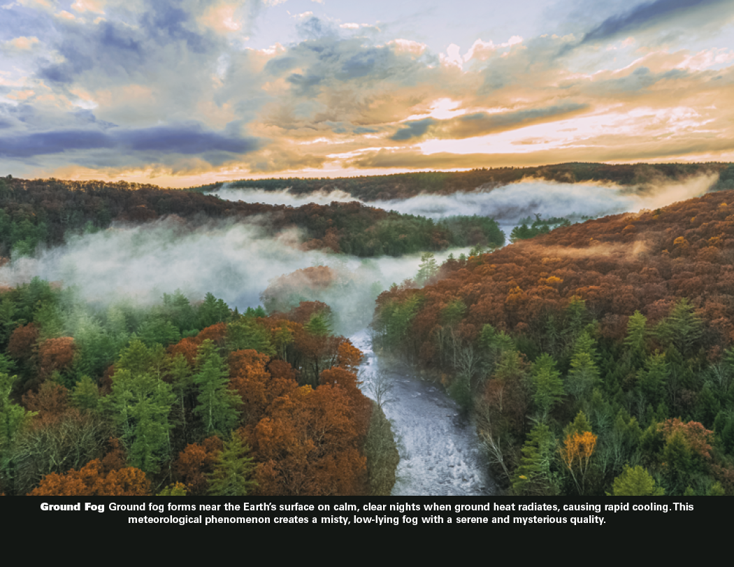 Good Value™ The Power of Nature - Stapled Calendar 74