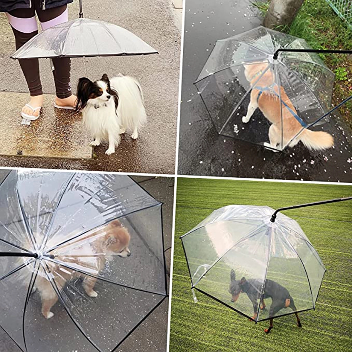 Pet Umbrella 4