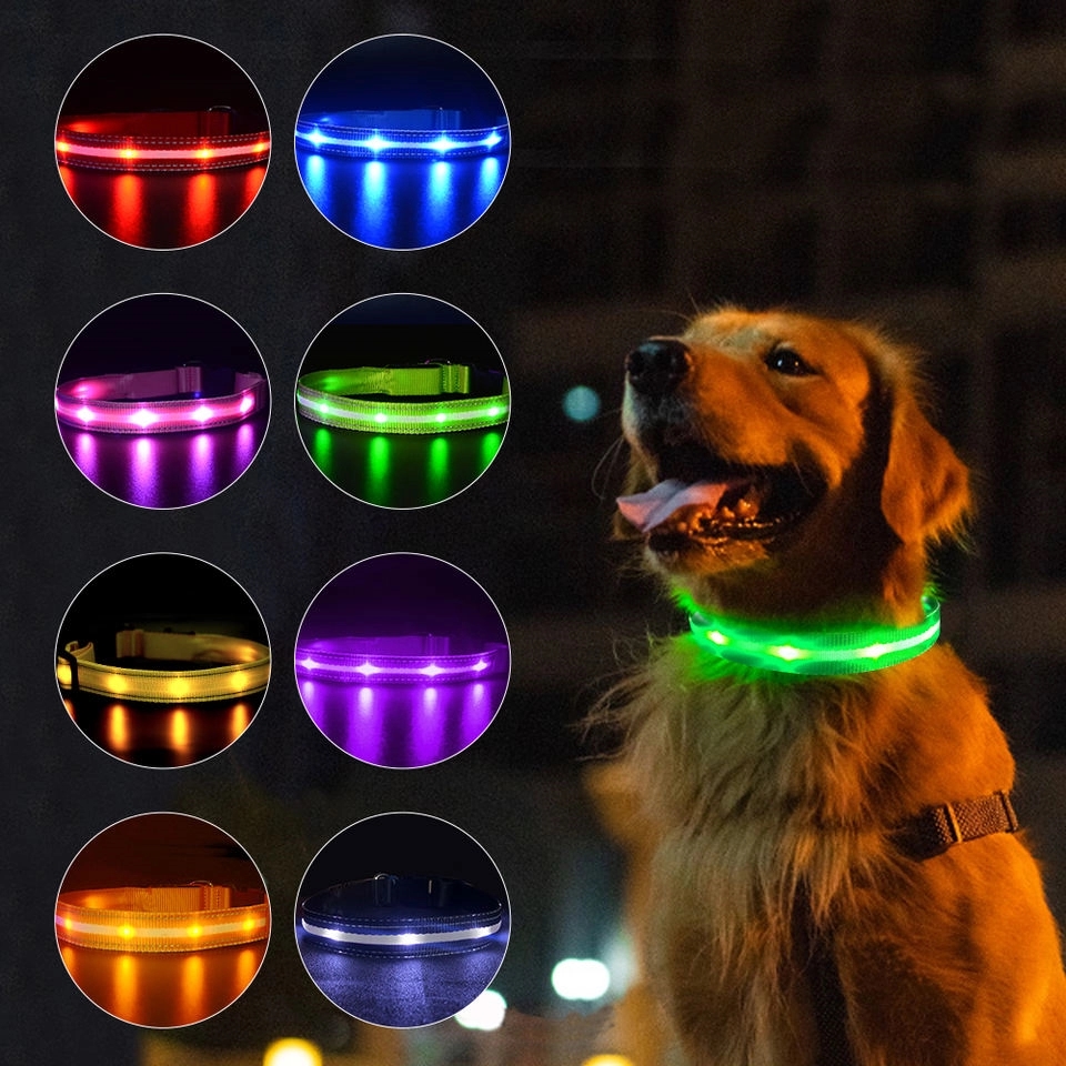 LED Light Up Dog Leash 4