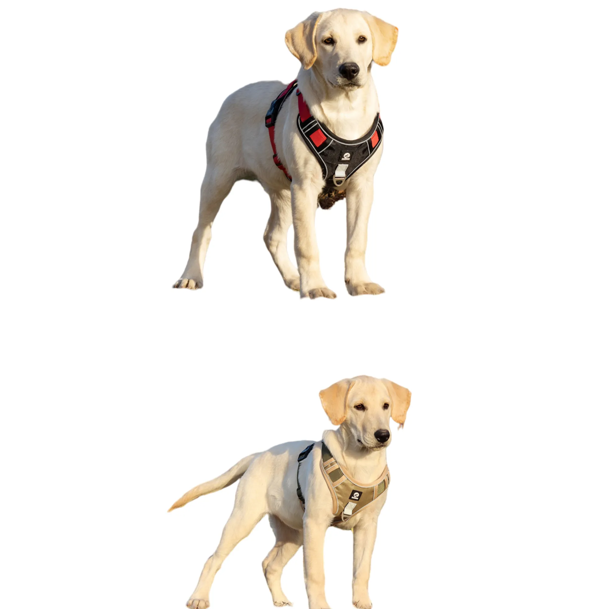 Vest-Style Large Dog Harness Without Leash 5