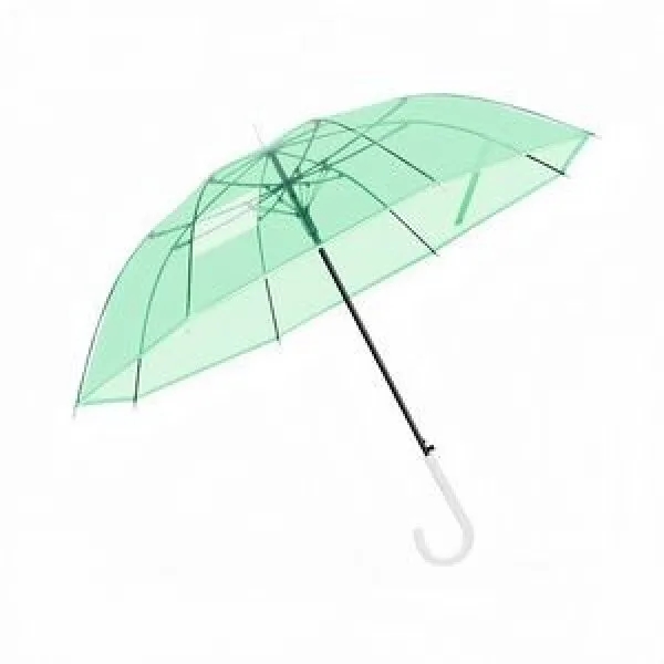 Transparent Advertising Umbrella 6