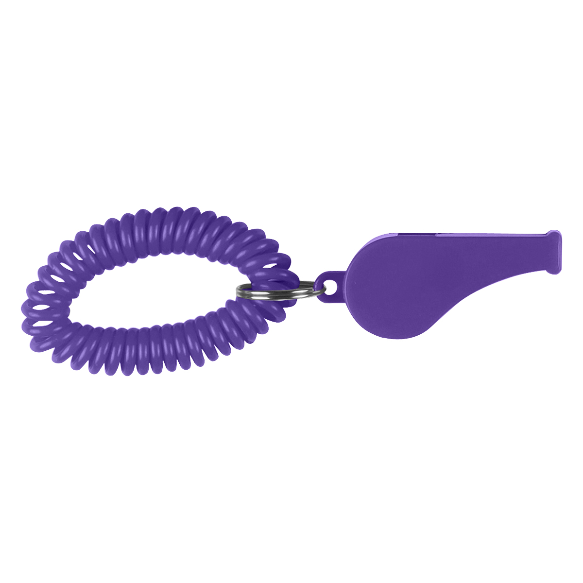 Whistle With Coil 11