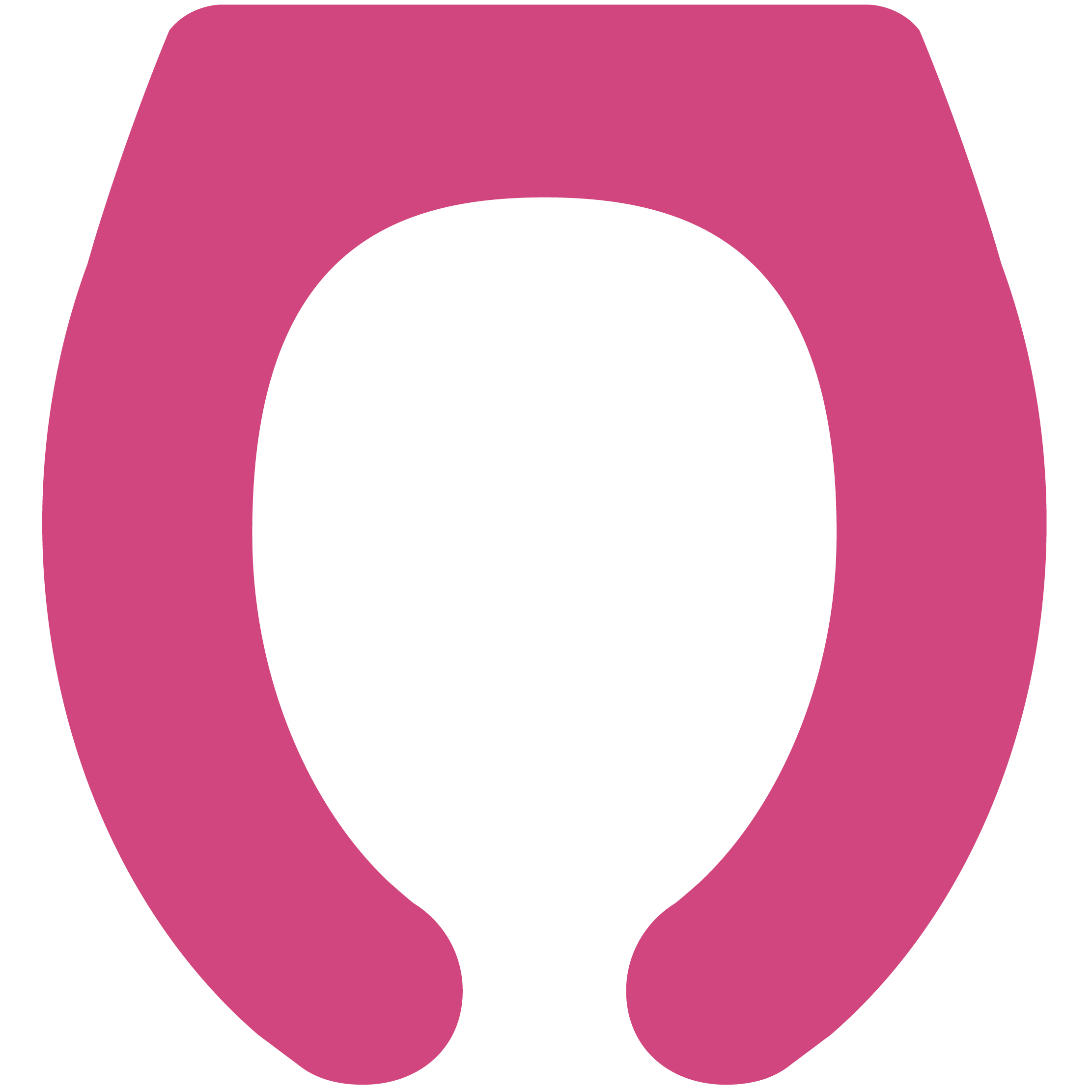 Toilet Seat 33
