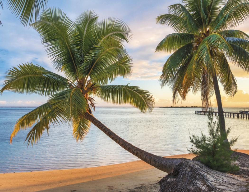 Triumph® Calendars Beaches Calendar 59