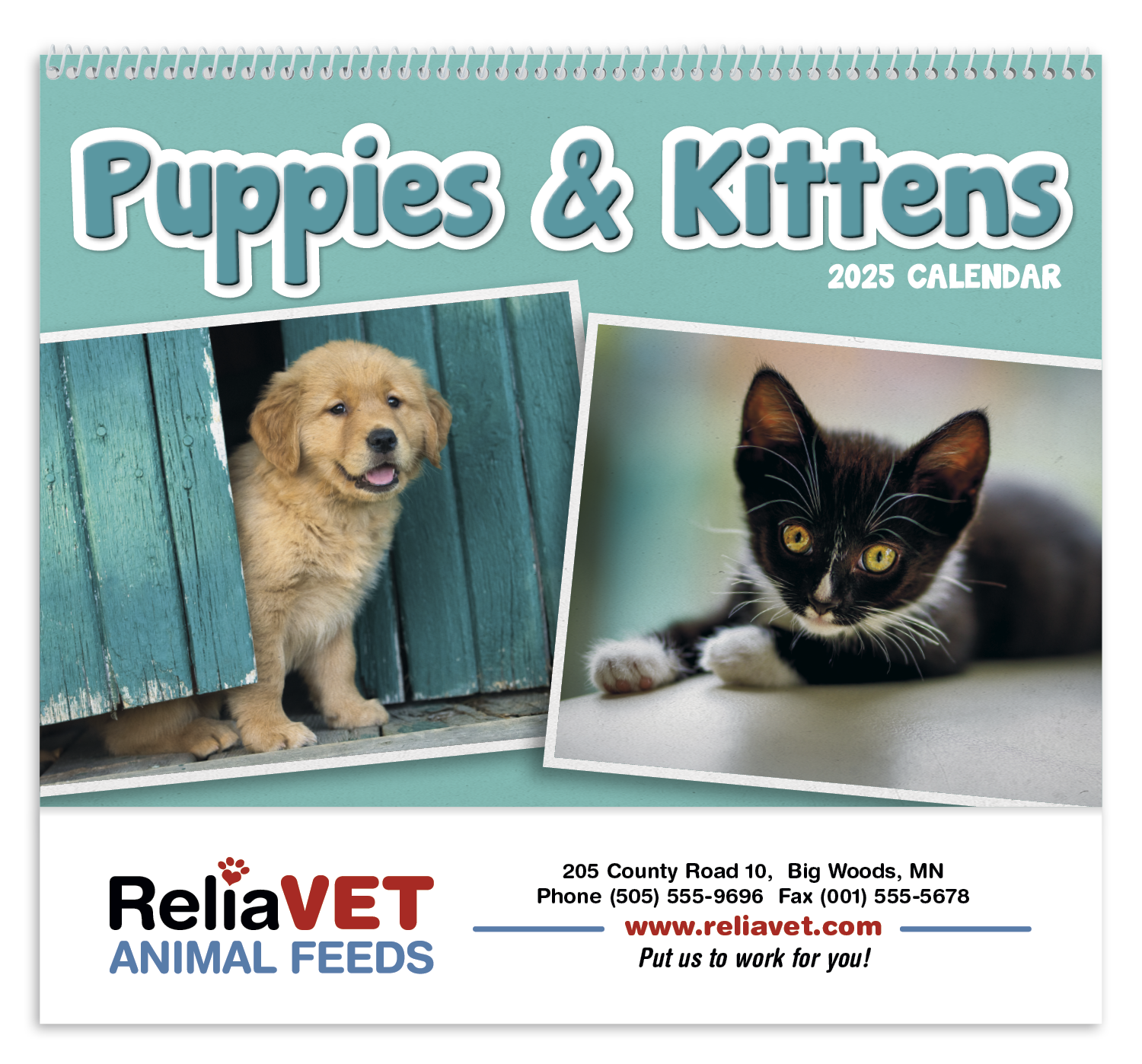 Triumph® Calendars Puppies & Kittens Pocket Calendar 12
