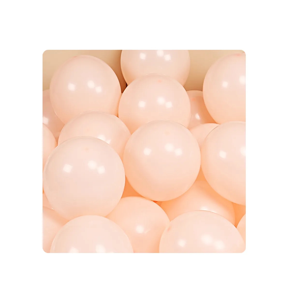 10 Inch Party Balloons 6