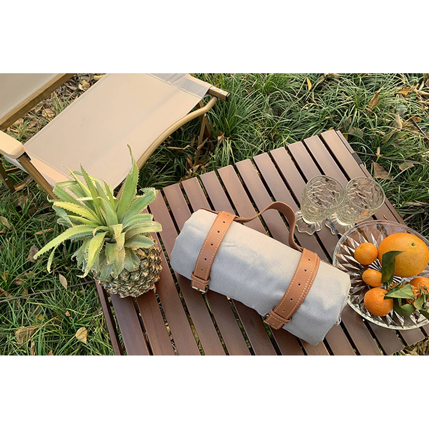 Portable Picnic Blanket 5