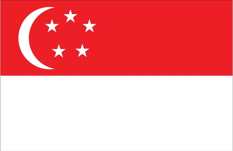 Singapore Flag - 4' x 6' - Nylon 2