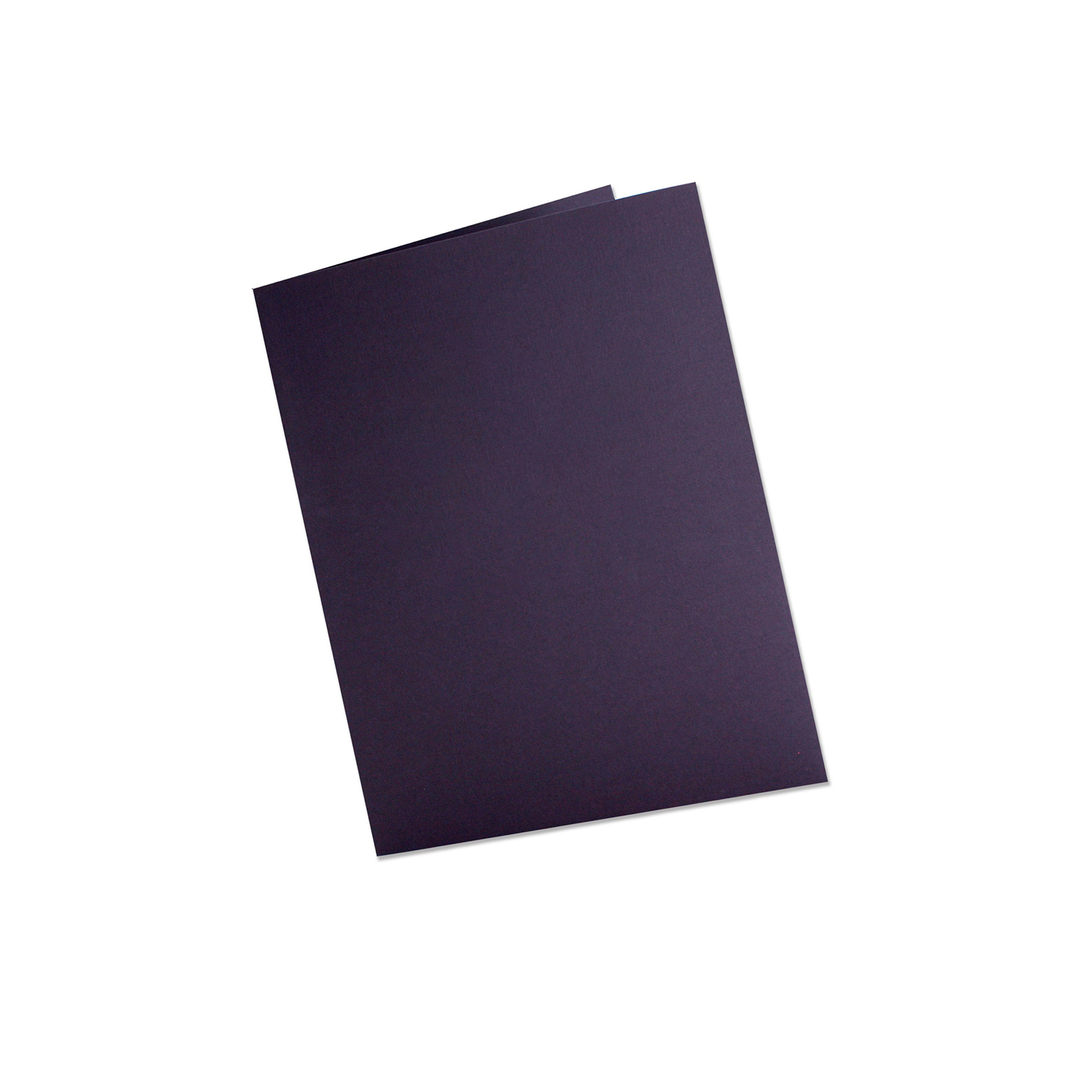 Foil Stamped Presentation Folder with 2 Pockets 5