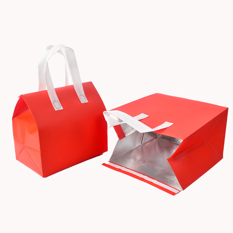 Aluminium Foil Insulation Bag 15