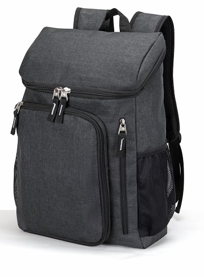 Deluxe Computer Backpack 1