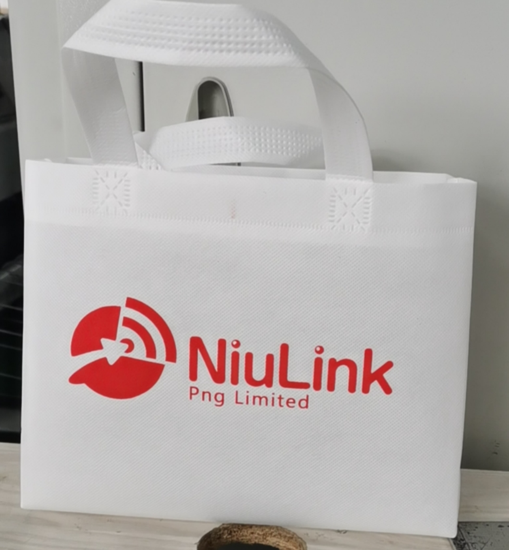 Large Size Non-woven Shopping Bag 2