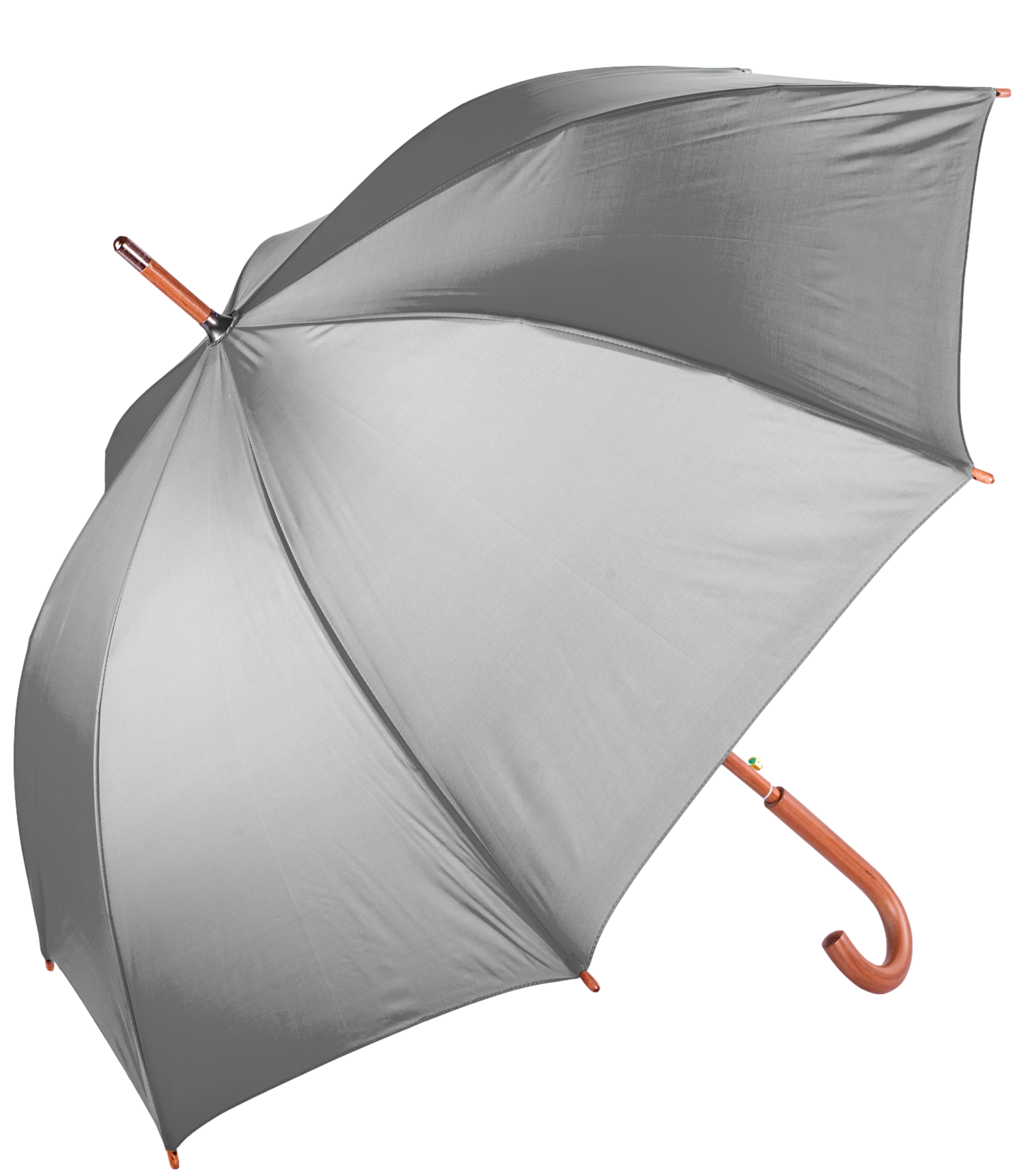The Hotel Umbrella 15