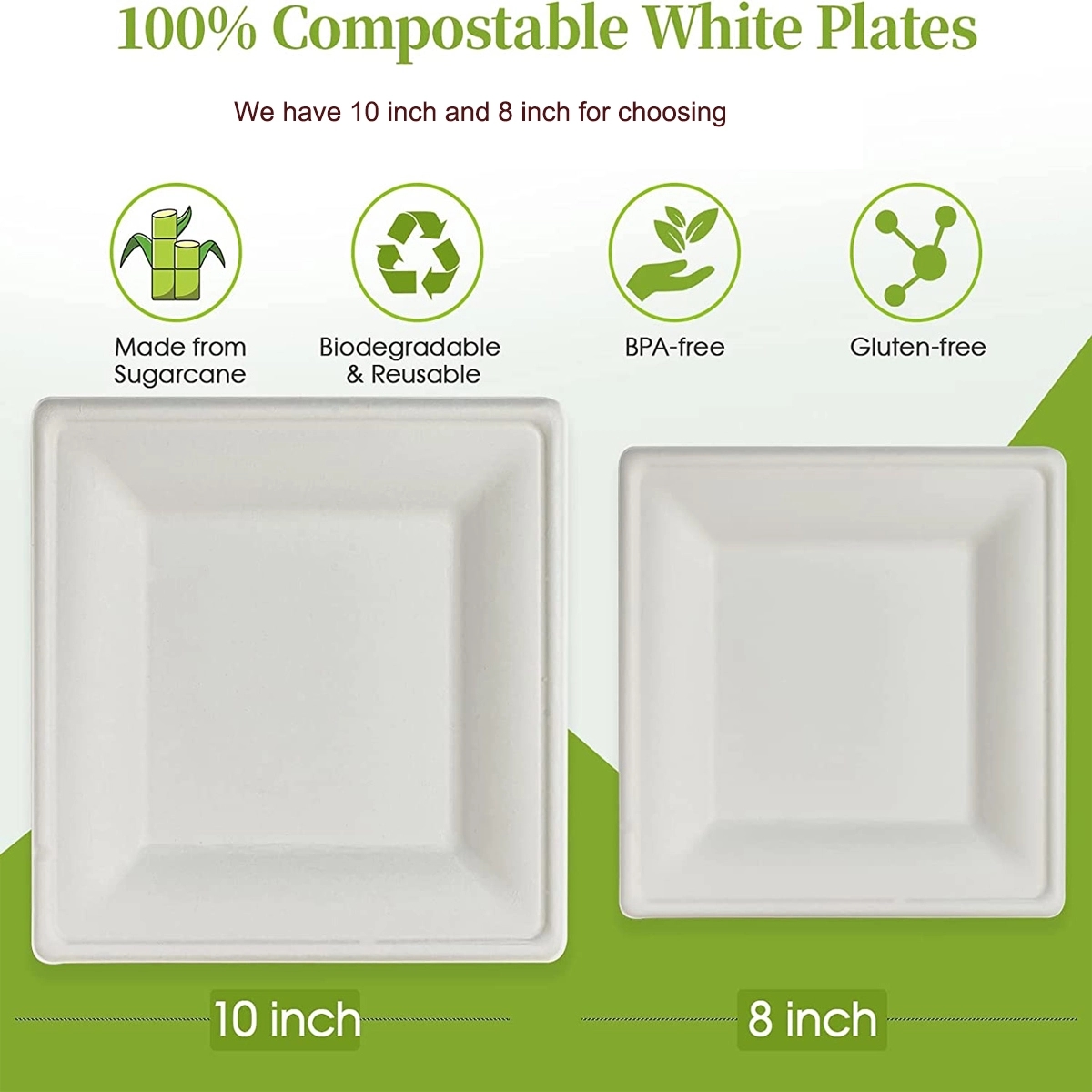 Biodegradable Disposable Square Plates 2