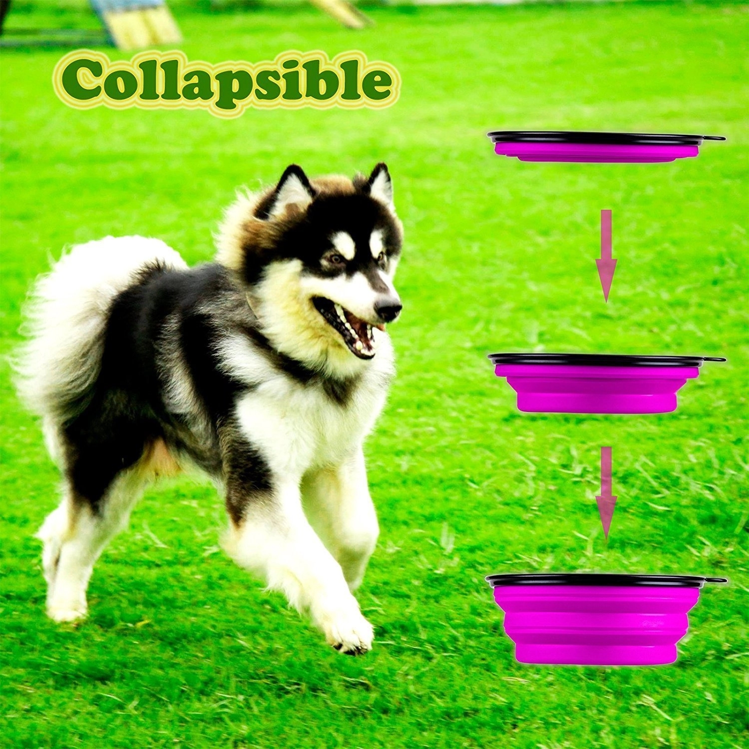 Portable Pet Bow 5