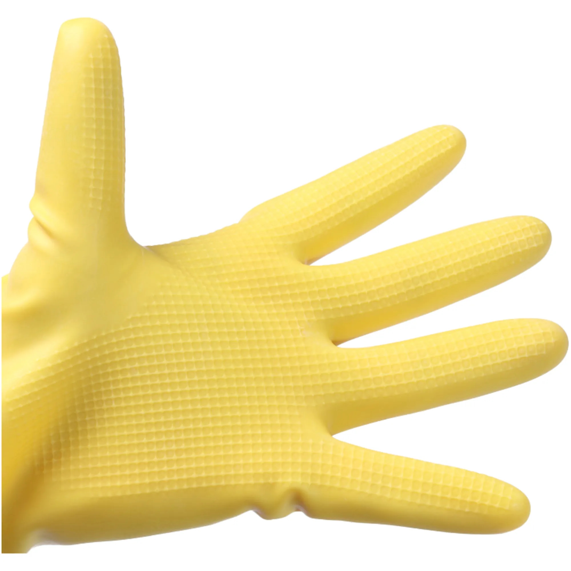 Household Gloves 2