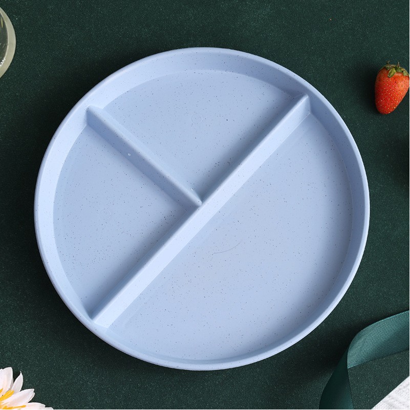 Portion Plate 9