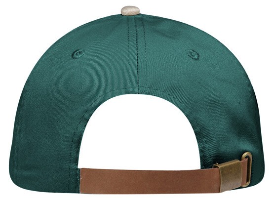 OTTO CAP 6 Panel Low Profile Dad Hat 2