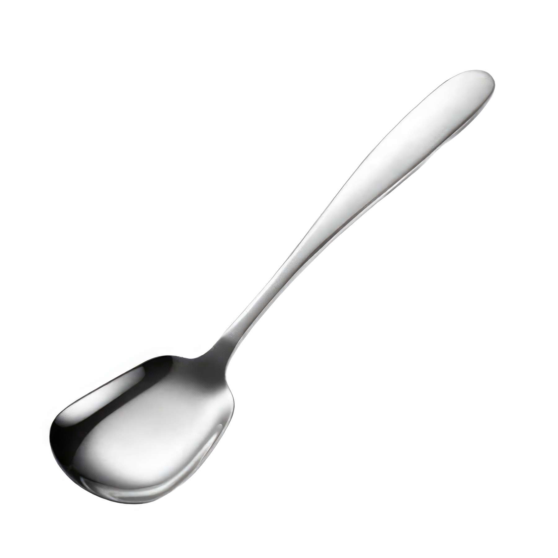 Stainless Steel Spoons 2