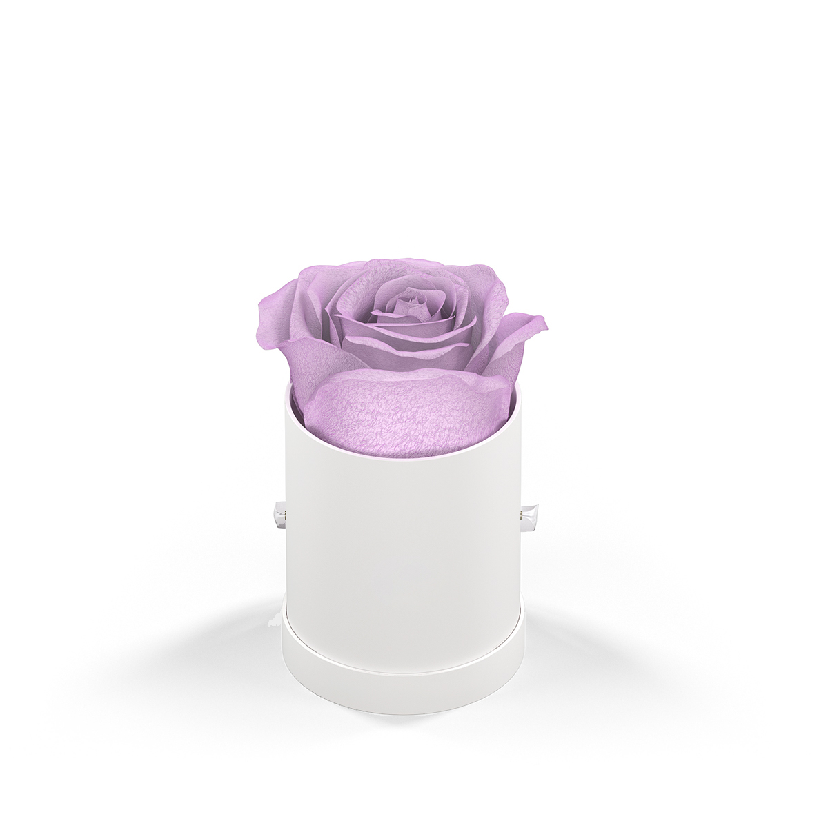 Classique by VeF Le Mini™ Round 5