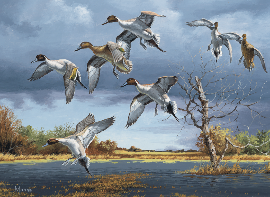 HotLine® Products Maass Wildfowl® Executive Calendar 35