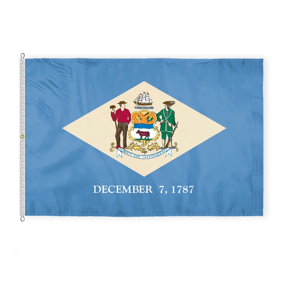 12"x18" to 8'x12' Delaware Nylon Flags 5